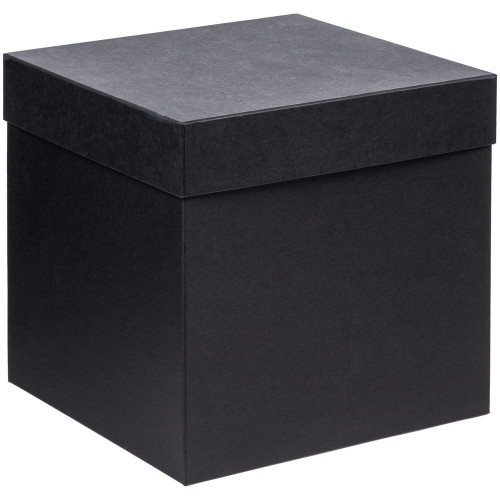 Коробка Cube, L, черная, 14096/30 Коробка Cube, L, черная, 14096/30