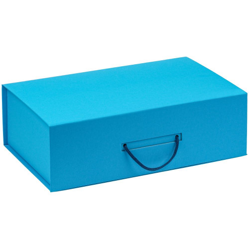 Коробка Big Case, голубая, 21042/44