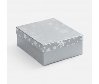 Коробка Wintry, серебристая Коробка Wintry, серебристая