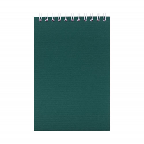 Блокнот Nettuno Mini в линейку, зеленый, 6995/90
