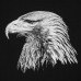 Свитшот мужской Like an Eagle, черный, 70515/30