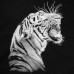 Футболка детская Like a Tiger, черная, 70808/30 Футболка детская Like a Tiger, черная, 70808/30