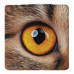 Зеркало Look at Meow, квадратное, 71595/60 Зеркало Look at Meow, квадратное, 71595/60