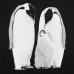 Футболка женская Like a Penguin, черная, 71921/30